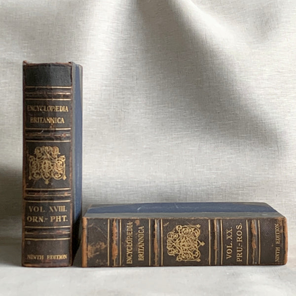 ORN-PHT. Handcrafted Recycled 1874 Encyclopaedia Britannica Keepsake Box