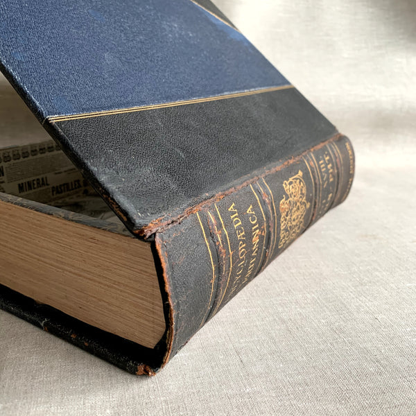 ORN-PHT. Handcrafted Recycled 1874 Encyclopaedia Britannica Keepsake Box