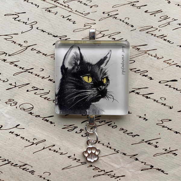 Larger Square Journal/Bag Charm - 1964 Cat Postage Stamp from Poland