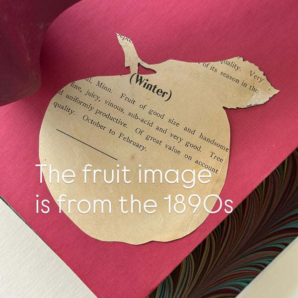 The Sartorial Apple - Handcrafted Original Paper Art Collage