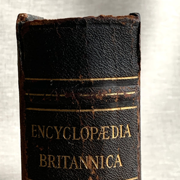 ORN-PHT. Handcrafted Recycled 1874 Encyclopaedia Britannica Keepsake Box