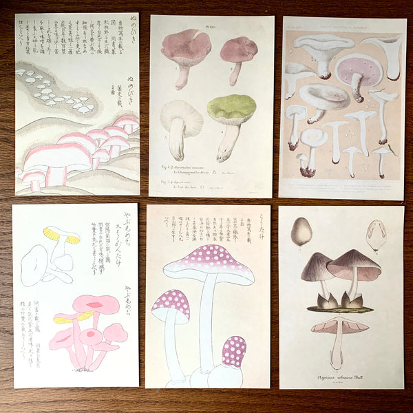 Pink Mushroom Writing Paper, Envelopes, and Seal Set - Japanese Stationery