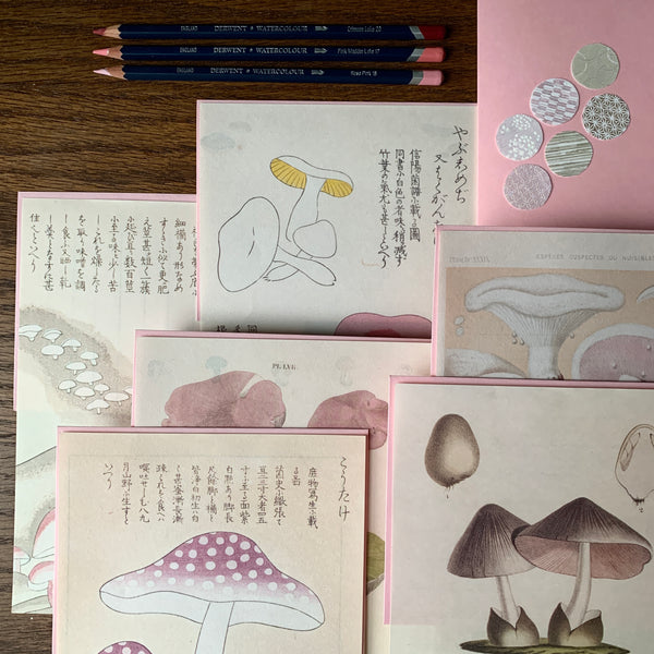 Pink Mushroom Writing Paper, Envelopes, and Seal Set - Japanese Stationery